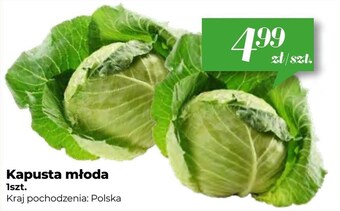 Społem Kapusta młoda oferta