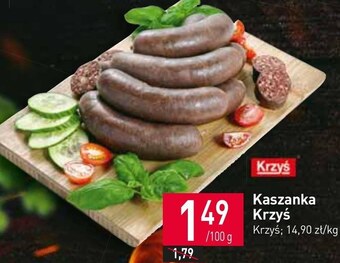 Stokrotka Kaszanka krzyś oferta