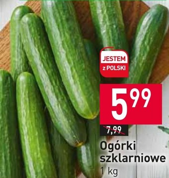 Stokrotka Market Ogórki oferta