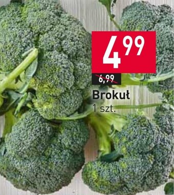Stokrotka Market Brokuł oferta