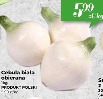 Społem Cebula oferta