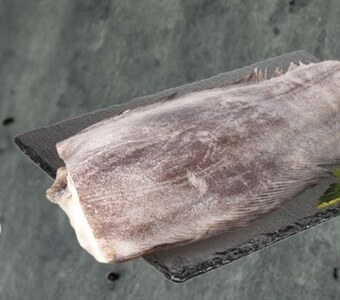 bi1 Halibut oferta