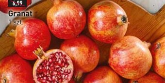 Stokrotka Market Granat oferta