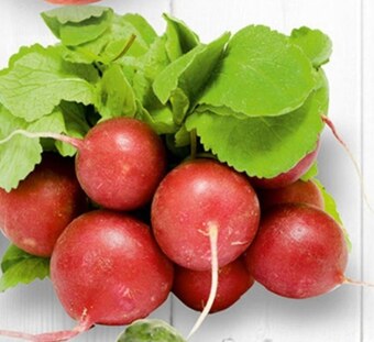 Prim Market Rzodkiewki oferta