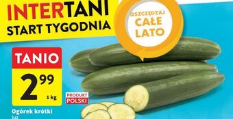 Intermarche Ogórki krótkie oferta