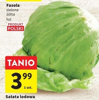 Intermarche Sałata lodowa oferta