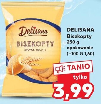Kaufland DELISANA Biszkopty 250 g oferta