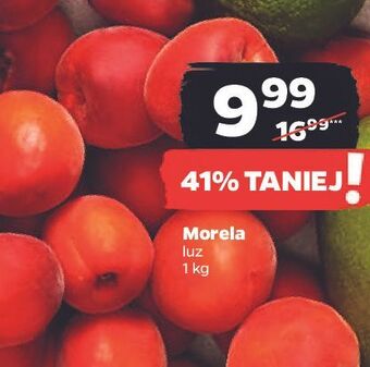 Netto Morele oferta