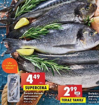 Biedronka Świeża dorada patroszona Marinero 100g oferta