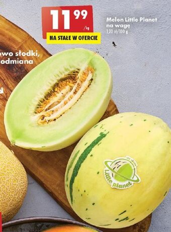 Biedronka Melon Little Planet 1kg oferta
