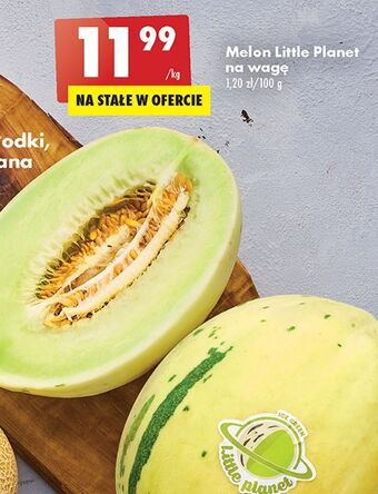 Biedronka Melon oferta