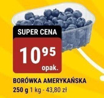 bi1 BORÓWKA AMERYKAŃSKA 250 g oferta