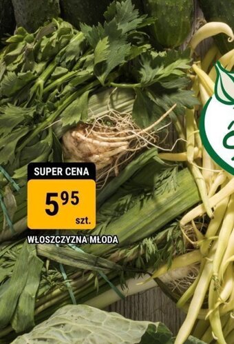 WŁOSZCZYZNA MŁODA