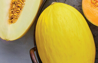 Biedronka Melon oferta