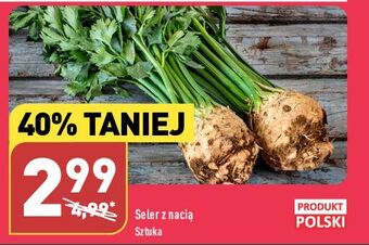 ALDI Seler z nacią oferta