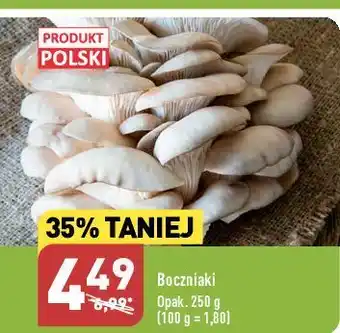 ALDI Boczniaki oferta