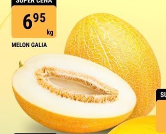 bi1 MELON GALIA 1kg oferta