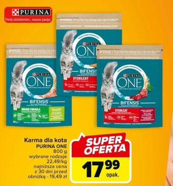Carrefour Market Karma dla kota PURINA ONE 800g oferta