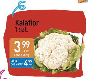 E.Leclerc Kalafior oferta