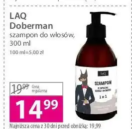 Hebe Szampon doberman oferta