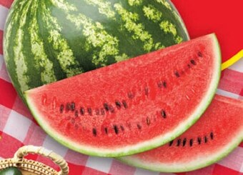 Delikatesy Centrum Arbuz oferta