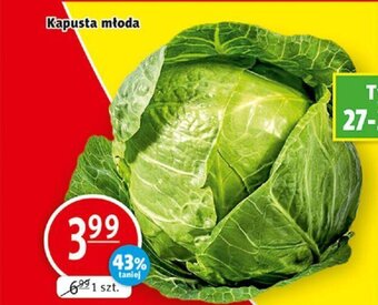 Prim Market Kapusta młoda oferta