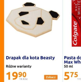 Action Drapak dla kota oferta