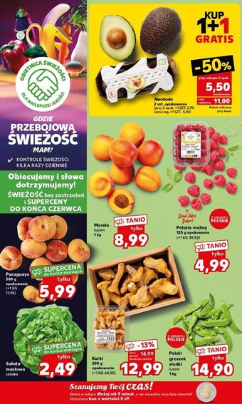 Kaufland Sałata masłowa oferta