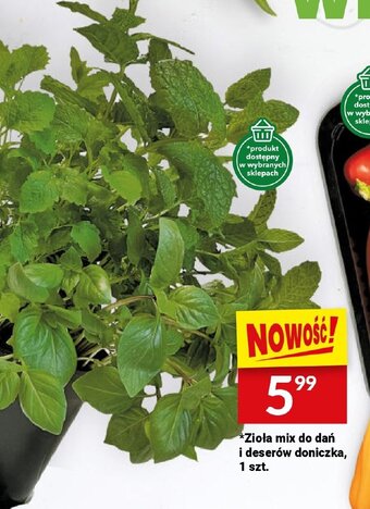 Twój Market *Zioła mix do dań i deserów doniczka, 1 szt. oferta