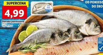 Lidl Dorada patroszona 100 g oferta