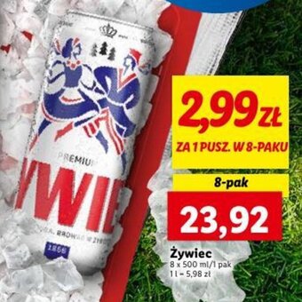 Lidl Żywiec 8 x 500 ml oferta