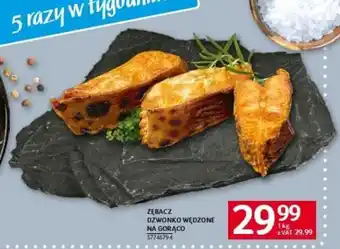 Selgros ZĘBACZ DZWONKO WĘDZONE NA GORĄCO oferta