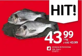 Selgros DORADA PATROSZONA 1 kg oferta