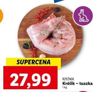 Lidl Królik tusza bez antybiotyków rzeźnik codzienna dostawa oferta