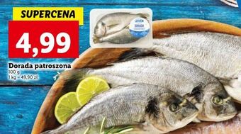 Lidl Dorada patroszona oferta