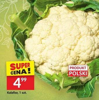 Twój Market Kalafior oferta