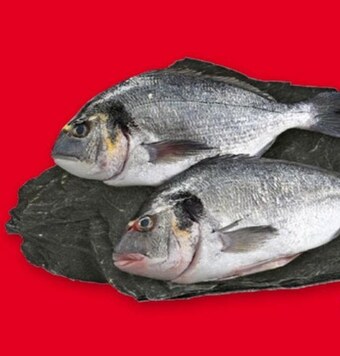 Selgros Dorada oferta