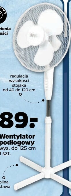 Netto Wentylator oferta