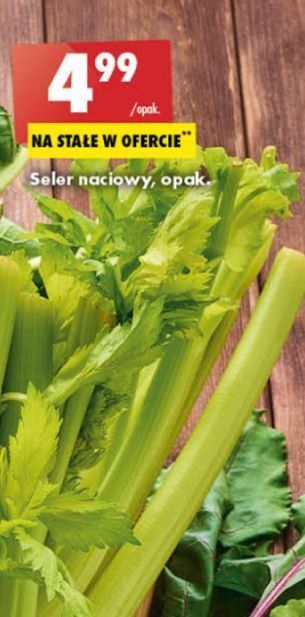 Biedronka Seler naciowy oferta