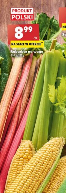 Biedronka Rabarbar oferta