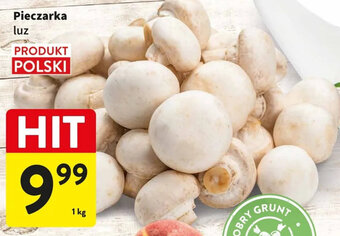 Intermarche Pieczarka luz 1kg oferta