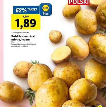 Lidl Polskie ziemniaki młode, luzem 1kg oferta