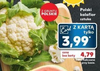 Kaufland Kalafior oferta