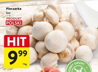 Intermarche Pieczarki oferta