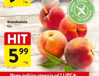 Intermarche Nektarynki oferta
