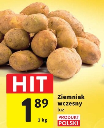 Intermarche Ziemniaki oferta
