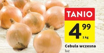 Intermarche Cebula oferta