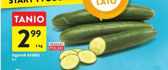 Intermarche Ogórek oferta