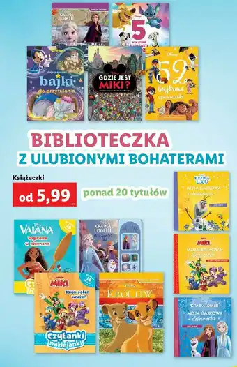 Lidl Popatrz i znajdź kraina lodu ii 1 SZT oferta