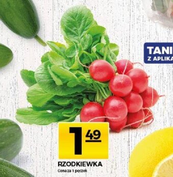Topaz Rzodkiewka pęczek oferta